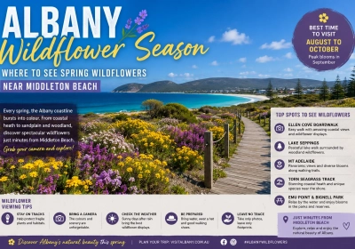 Albany Wildflower Season: Where to See Spring Wildflowers Near Middleton Beach